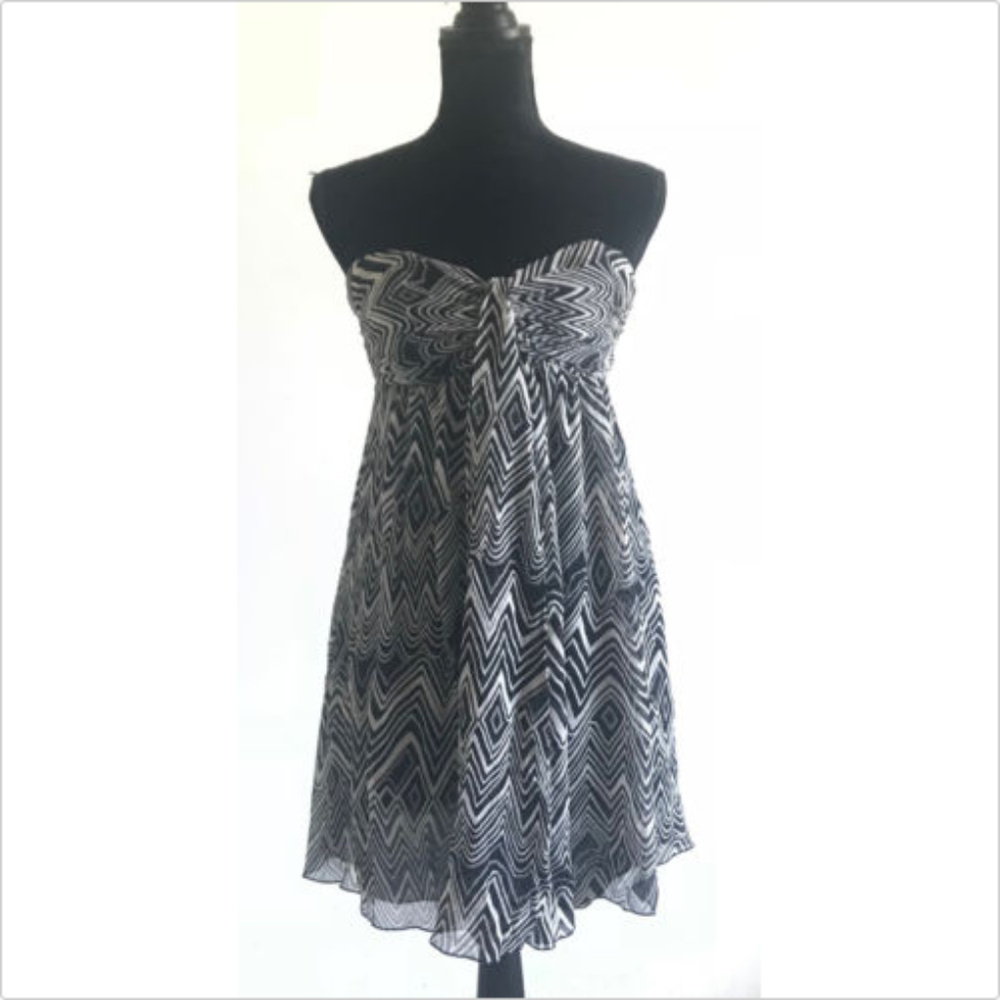 Express Silk Strapless Empire Waist Pattern Dress